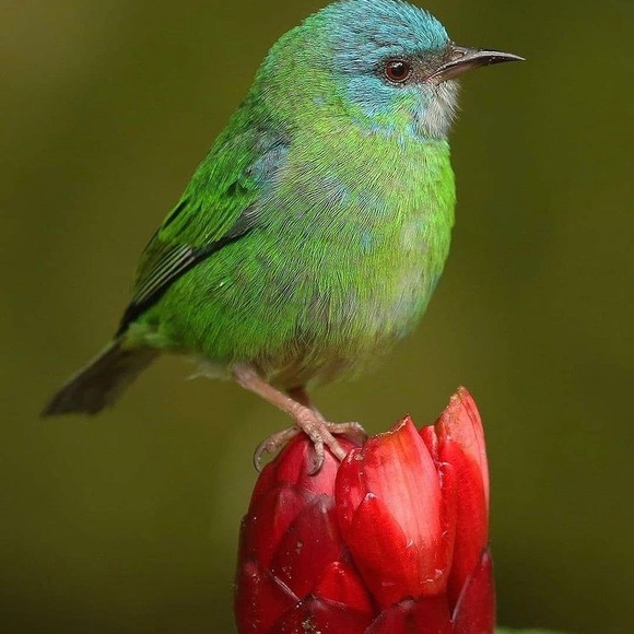 Meet your Posher, Lidia - Picture 1 of 1